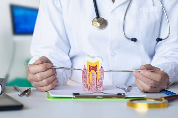 Best Emergency Dental Care for Broken or Chipped Teeth in North Aurora, IL
